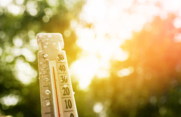 canicule et IA