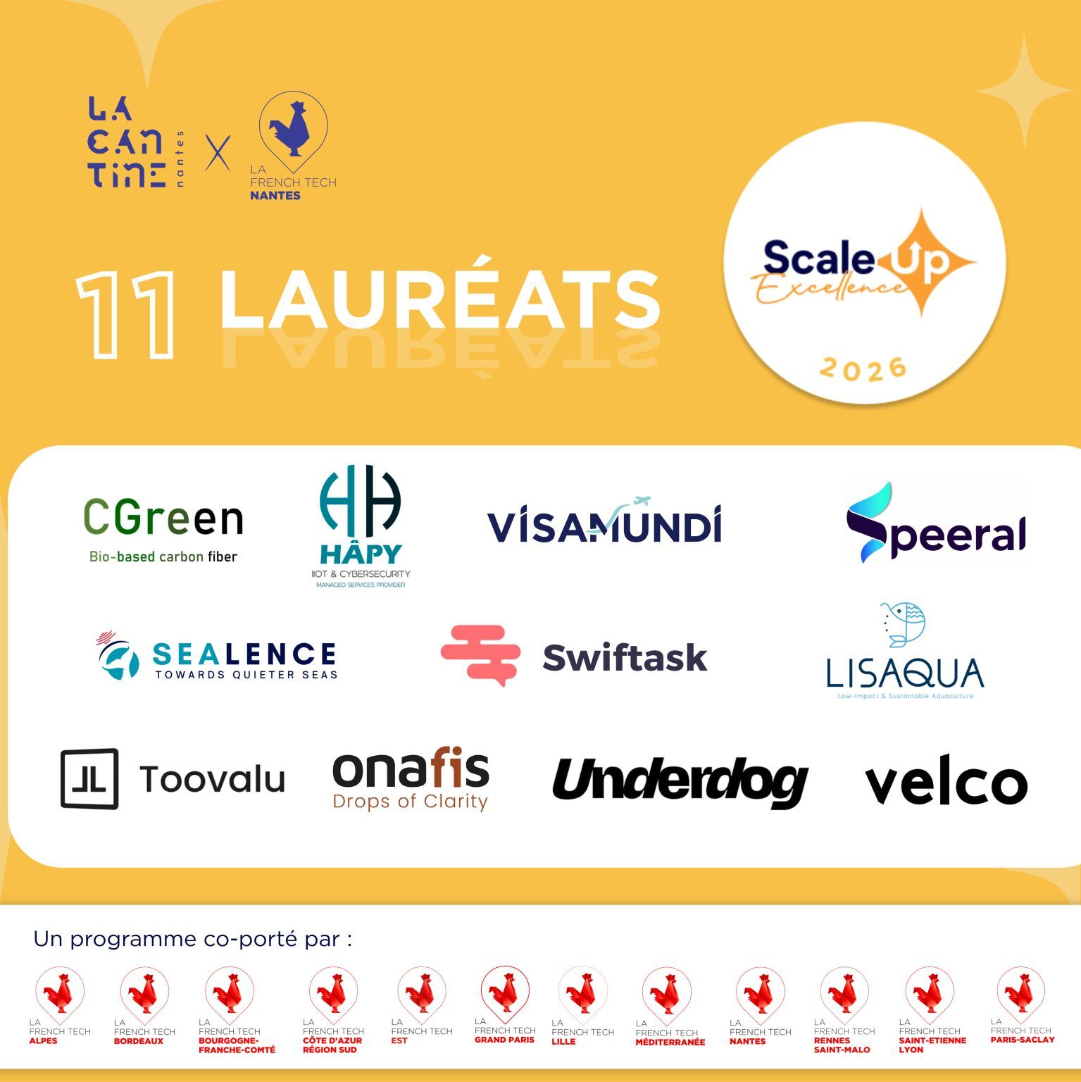 scale up excellence