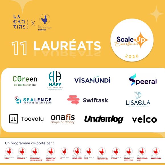 scale up excellence